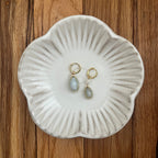 Honey, Honey - Money Cowrie Shell Dangle Earrings